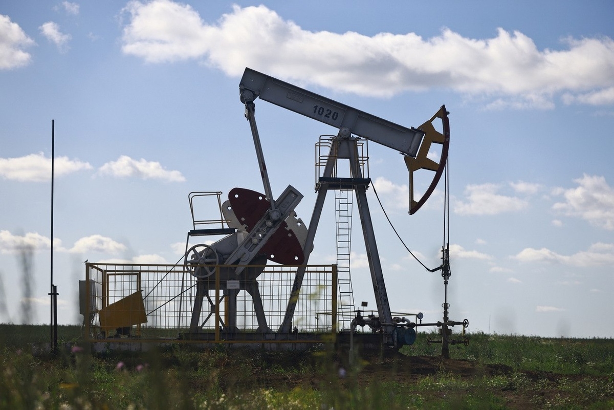 Запасы нефти и газа восполнятся в 2026 году
