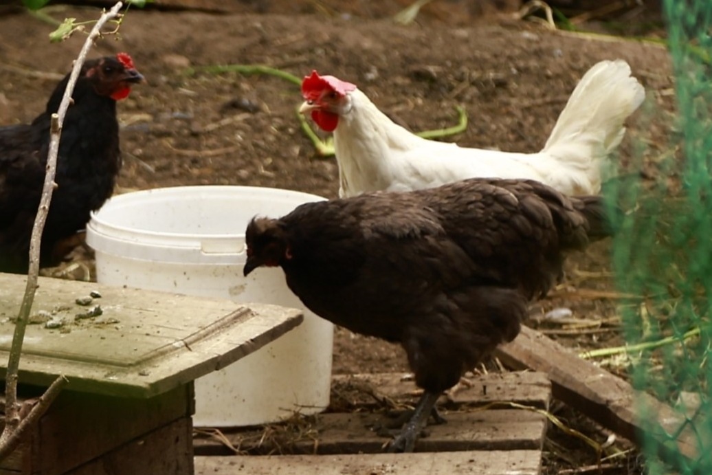 Павел Хацаюк / ИД «Вечерняя Казань»