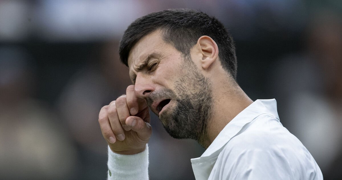 Джокович не первый. Как андердоги годами рушат планы фаворитов на US Open