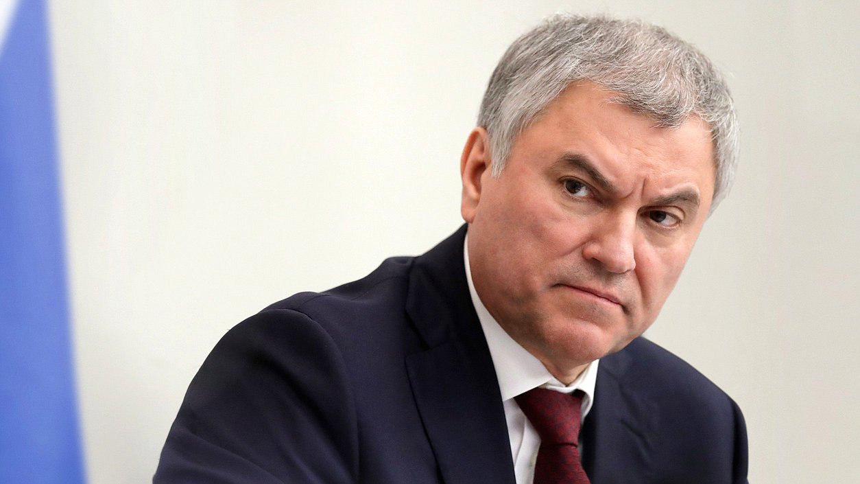Володин заинтересовался принесенными в МФЦ курицами