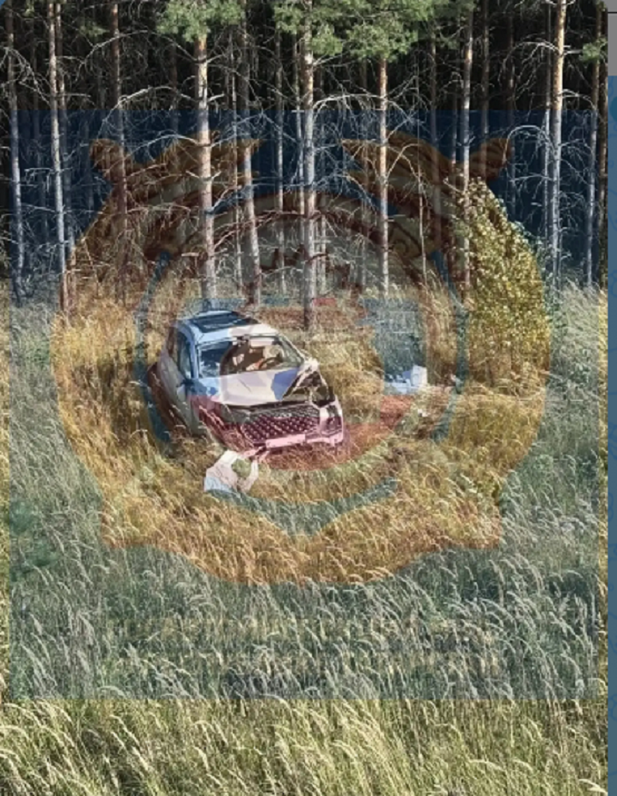Водитель вылетевшей с дороги в Елабужском районе иномарки погиб на месте