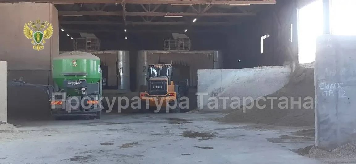 Татарстанца приговорили условно за смерть рабочего при погрузке корма