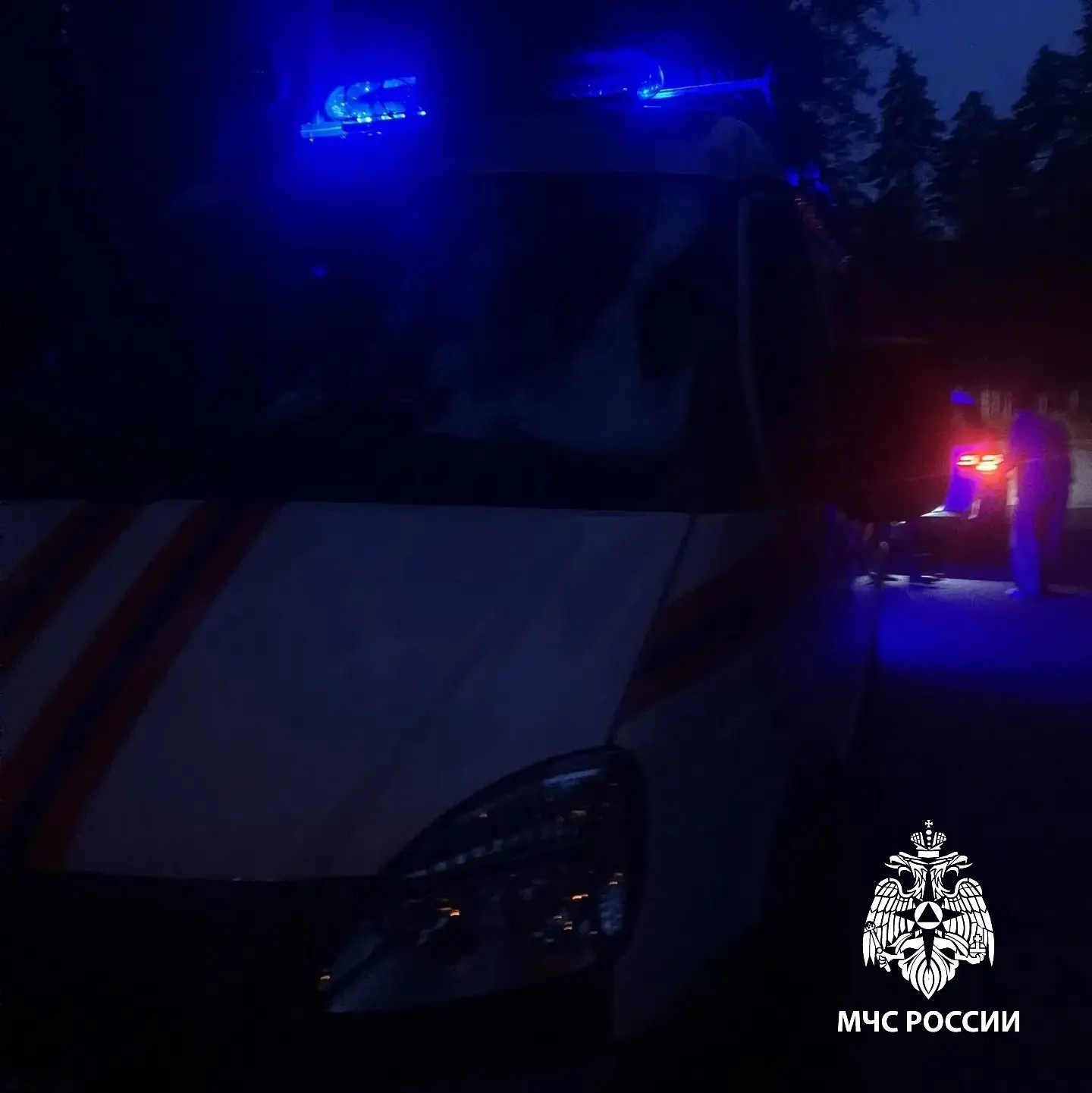 ‎В Татарстане спасли двух заблудившихся в лесу женщин